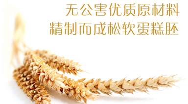 关于为您解答尊龙新版手机app下载
(今日最新解答)的相关图片